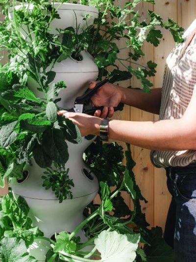 - Gardening - Agriculture - FARMS