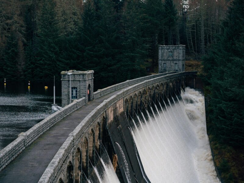 demo profile - lakra tour and travels