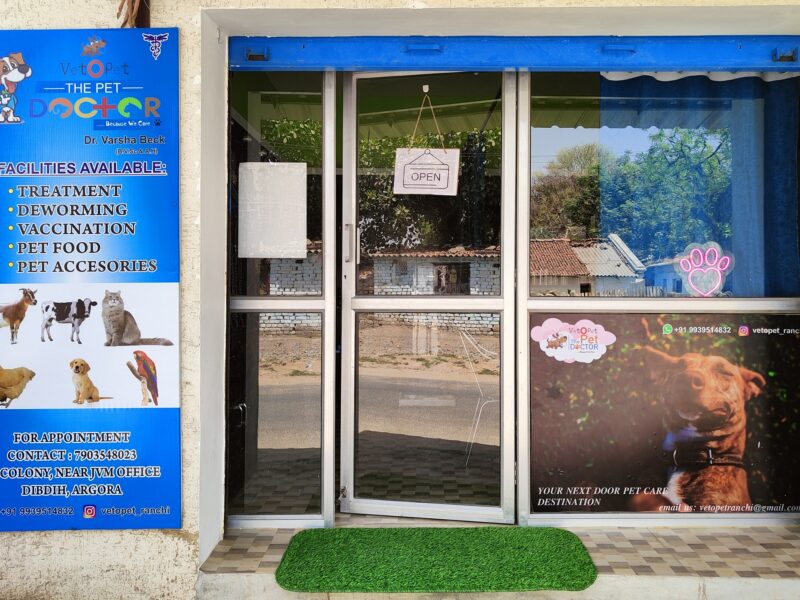 Best Vet Clinic in Ranchi – Dr. Varsha Beck