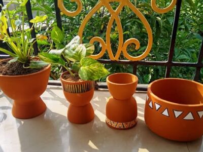 Eco-Friendly Plants in Dumka – Visit!