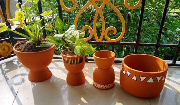 Eco-Friendly Plants in Dumka – Visit!